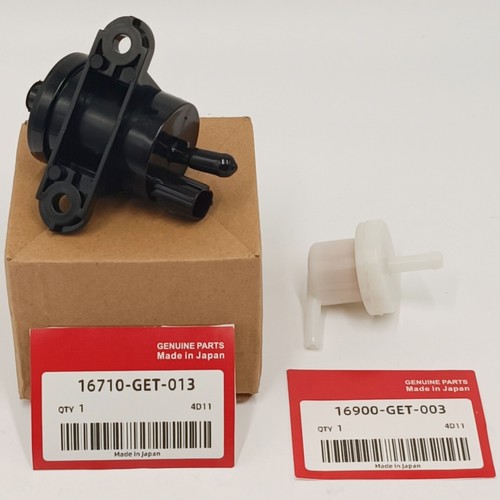 Oem fuel pump and filter - fuel,