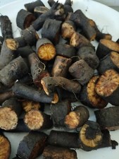 12 x COMFREY  ROOT CUTTINGS -