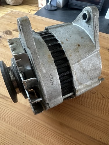 Pinto alltenater - alltenater,
