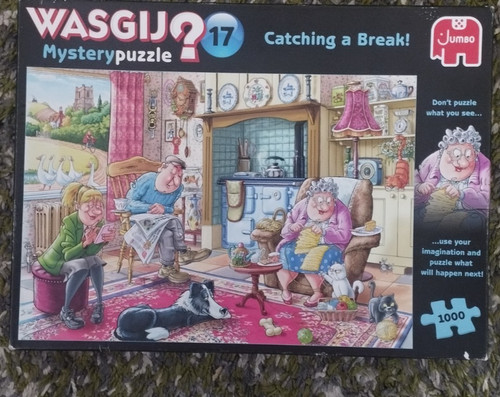 Wasgij puzzle catching a - -,