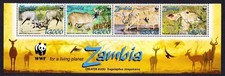 Zambia WWF Greater Kudu Strip