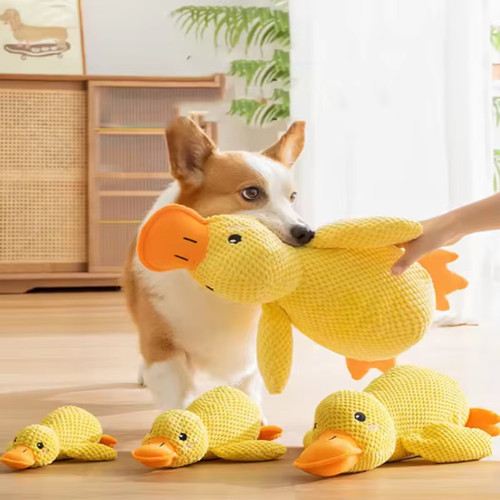 Dog plush duck toy - duck,