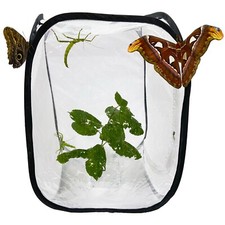 Pop Up Net Insect Cage - For Butterflies, Moths, Stick Insects, Caterpillars