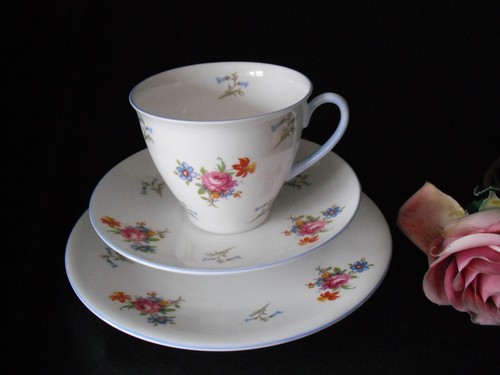 Shelley 2326 fine bone - bone, china