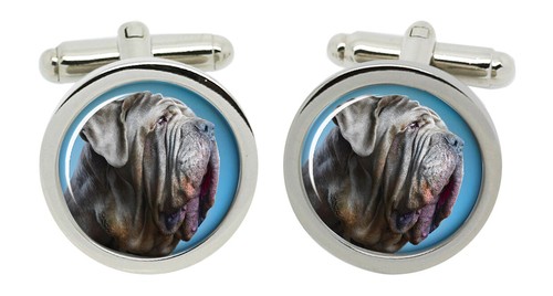 Mastino napoletano neapolitan - mastino,