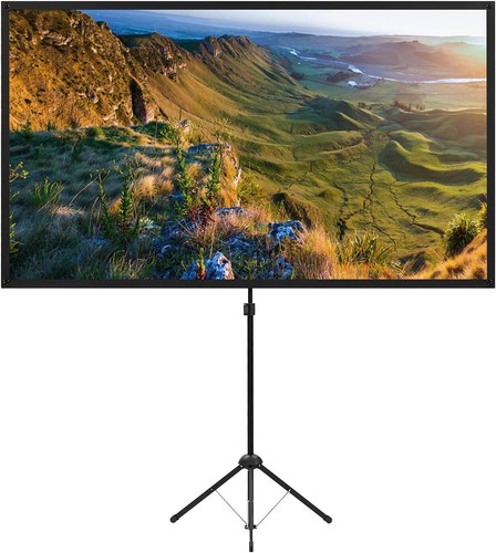 Portable projector screen - 80",