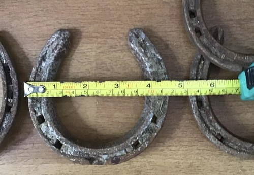 Tiny horseshoe small pony - 🐴tiny,