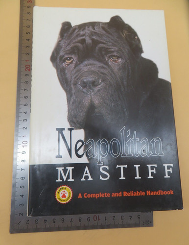 Neapolitan mastiff complete - a,