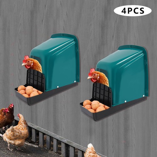 Pack nesting boxes chicken - nesting,