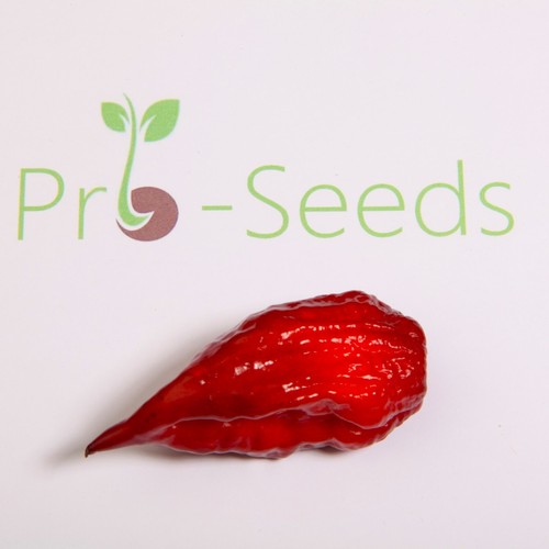Super hot chilli seed mix - super,