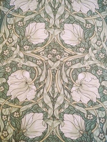 William morris pimpernel - pimpernel, soft