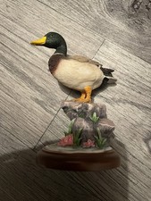 BORDER FINE ARTS MALLARD DUCK