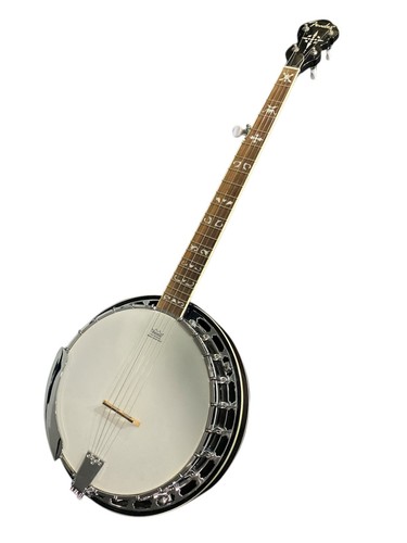 Fender string banjo - fender, 5-string