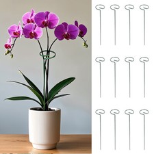 12X Spiral Plant Supports