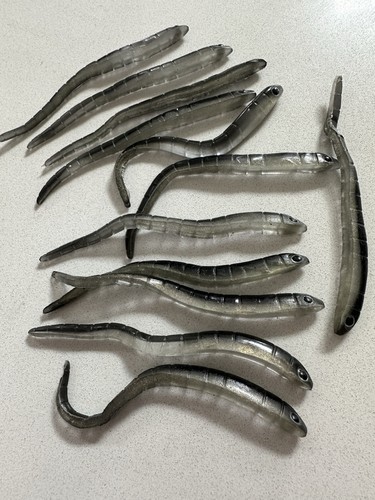 Pcs sand eel - pcs,