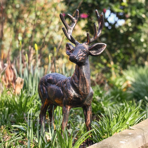Stunning standing buck - buck, deer
