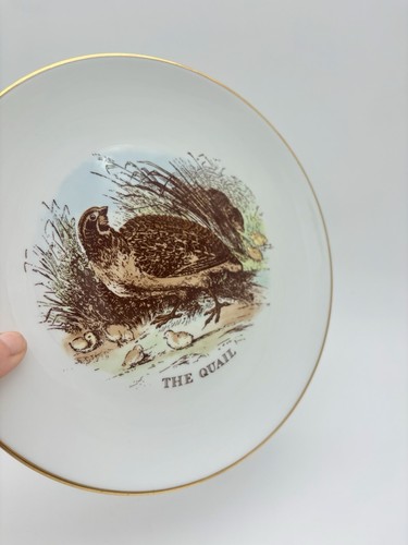 Vintage royal worcester - vintage,