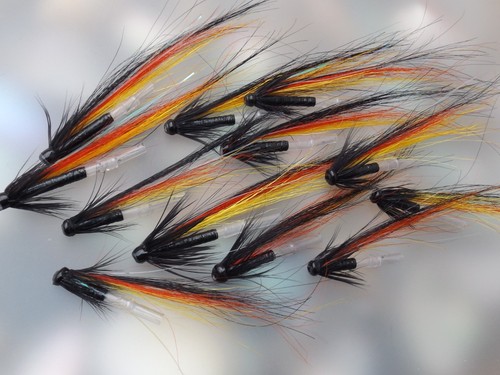 Salmon fly tingvoll - salmon,