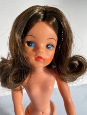 Pedigree Sindy Trendy Girl