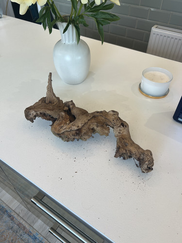 Large aquarium driftwood - aquarium,