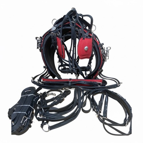 Biothane race harness - biothane,