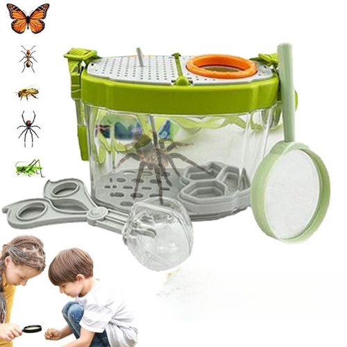 Insect breeding tank - insect,
