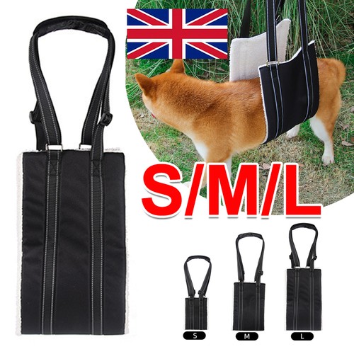 Pet dog mobility aids - pet,
