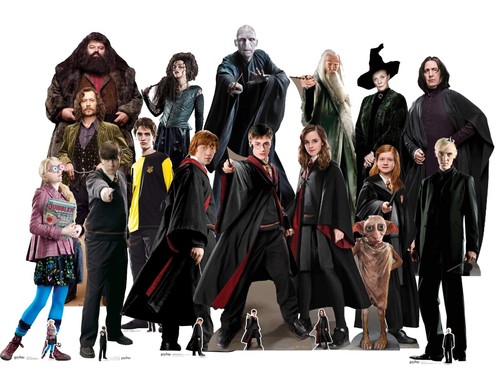 Harry potter movie lifesize - harry,
