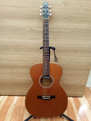 Seagull acoustic guitar - acoustic,
