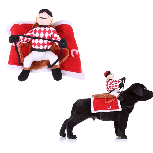 Funny riding pet - riding, show