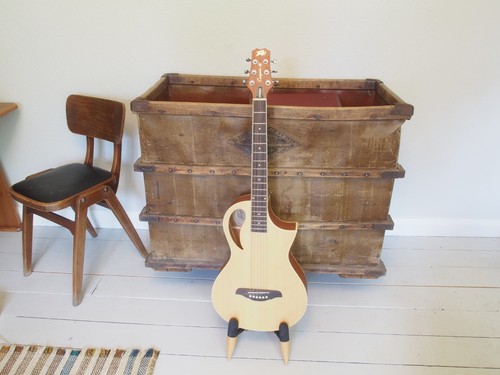 Peavy composer acoustic - peavy,