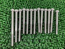 Genuine Honda CRM250AR crankcase bolts, MD32, 13 bolts, no bends, rare, in s...