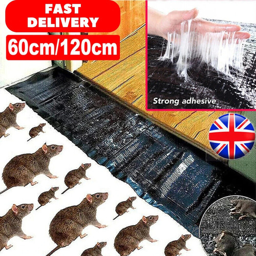 Large size mice - size, mouse
