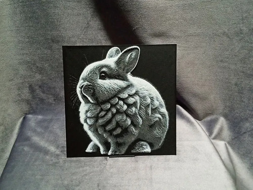 Dwarf rabbit - dwarf,