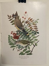 FINE ART LITHOGRAPH: Antique