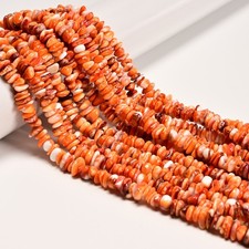 Natural Spiny Oyster Chips