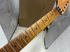 DIY 22 Fret Electric Guitar