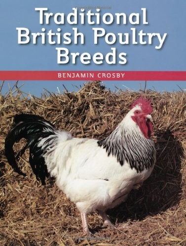 Traditional british poultry - traditional,