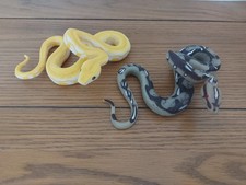 Pair Of Plastic Snake Models