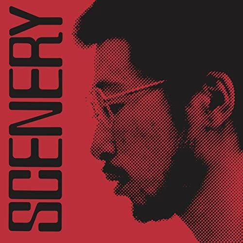 Ryo fukui scenery vinyl - fukui,