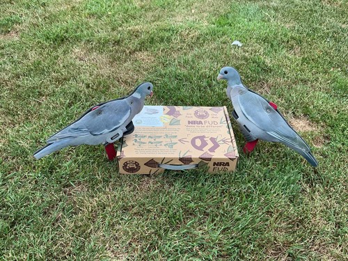 Fud fold decoy - up,