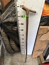 Blackthorn SHANK WALKING STICK