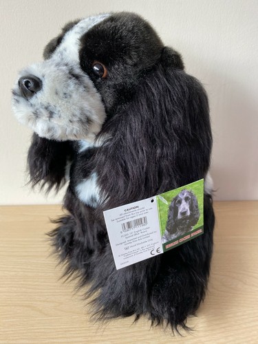 Blue roan cocker spaniel - roan,