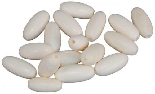 Replacement sitar bone - sitar,