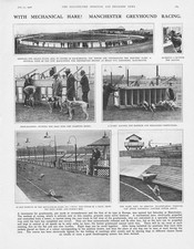 Greyhound Racing with A