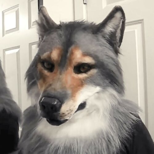 Adults big bad wolf werewolf - adults,