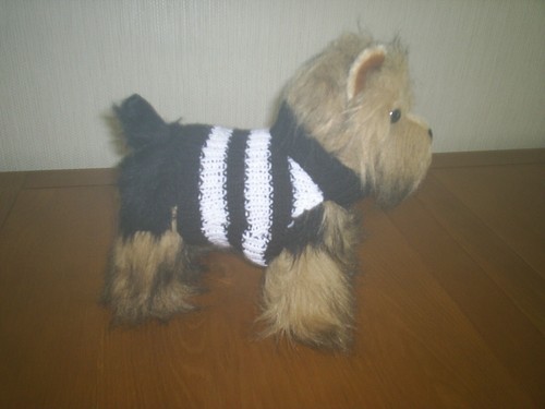 Hand knitted dog coat - ,