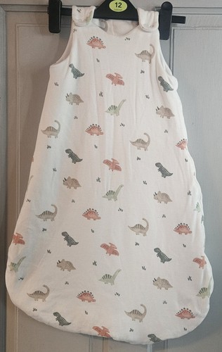 Baby dinosaur sleeping bag - dinosaur,