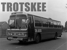 Larger Negative Eastern