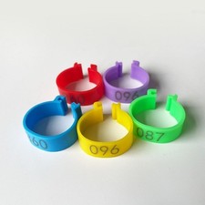 100Pcs  Identification Ring